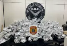 Polícia Federal apreende cerca de 100 quilos de maconha na BR-101, em Itaboraí